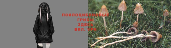 метадон Ельня