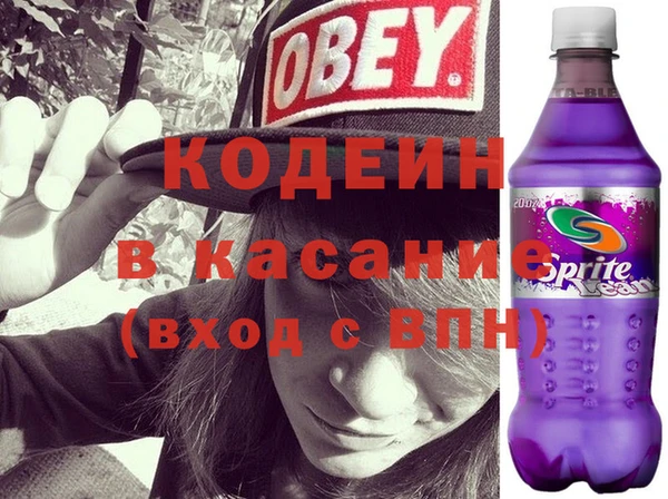 индика Балахна