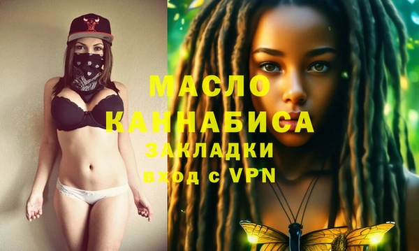 индика Балахна