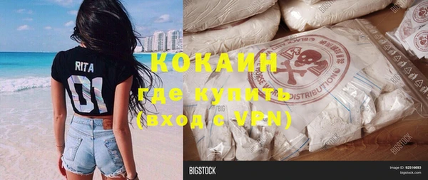 индика Балахна