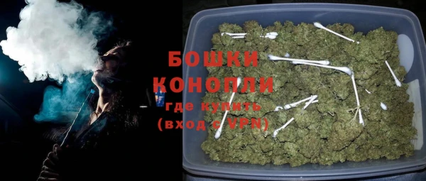 индика Балахна