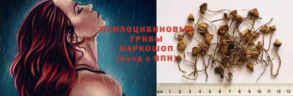 индика Балахна