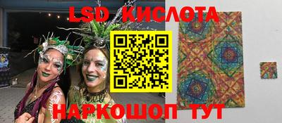 сатива Долгопрудный