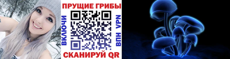 мориарти Telegram  Каспийск  Псилоцибиновые грибы Cubensis 